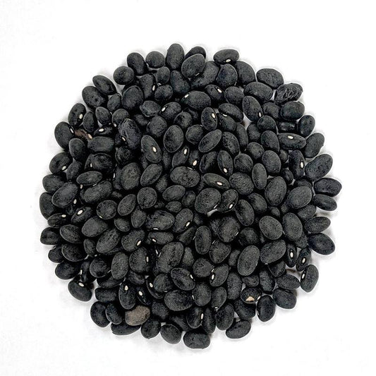 Bulk Grain Beans Black Turtle Organic x lb